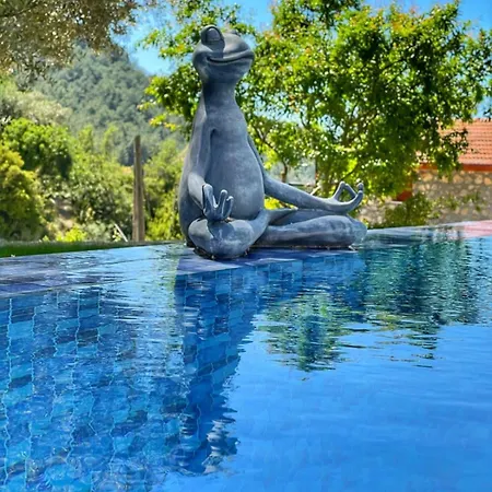 빌라 Hayat Agaci Uzumlu (Aegean)