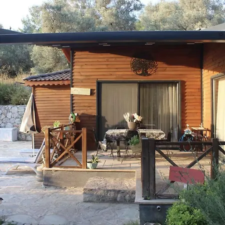 Hayat Agaci Uzumlu (Aegean)